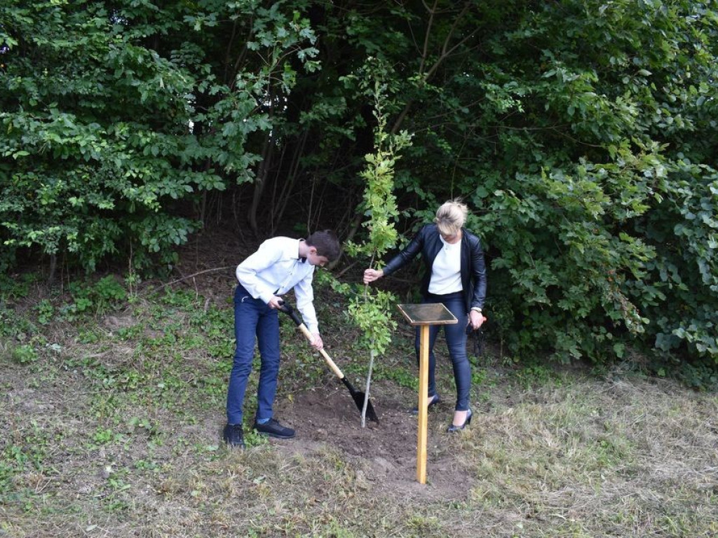 Posadzili kolejne dęby pamięci w Stefankowicach