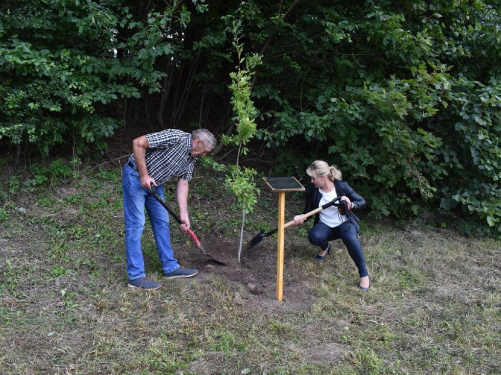 Posadzili kolejne dęby pamięci w Stefankowicach