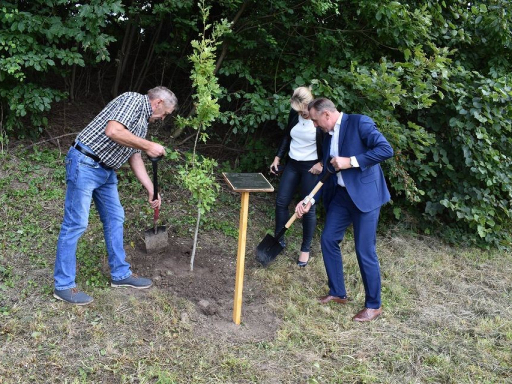 Posadzili kolejne dęby pamięci w Stefankowicach