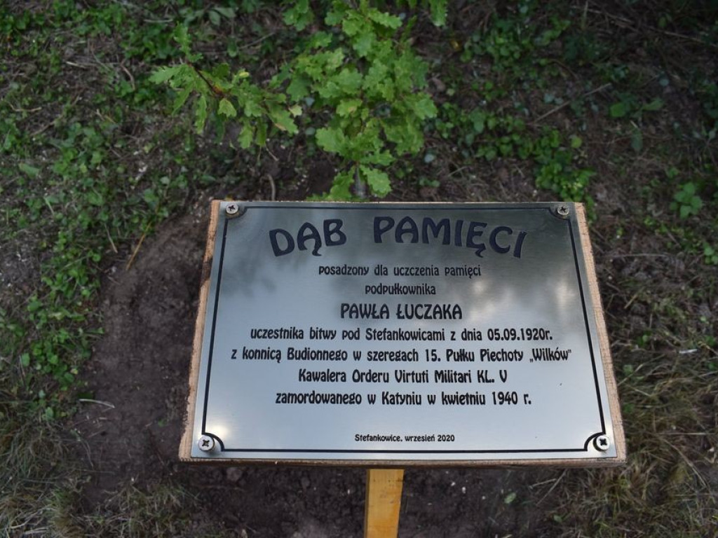 Posadzili kolejne dęby pamięci w Stefankowicach