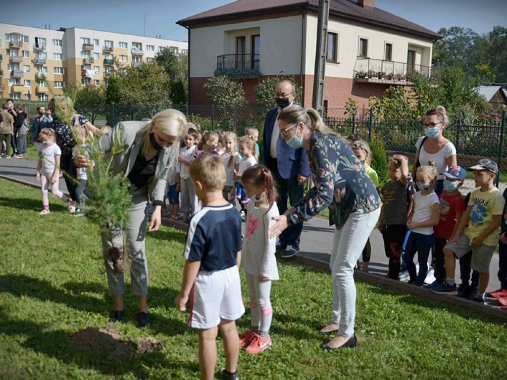 Hrubieszowska Jedynka w akcji #sadziMY - ZDJĘCIA
