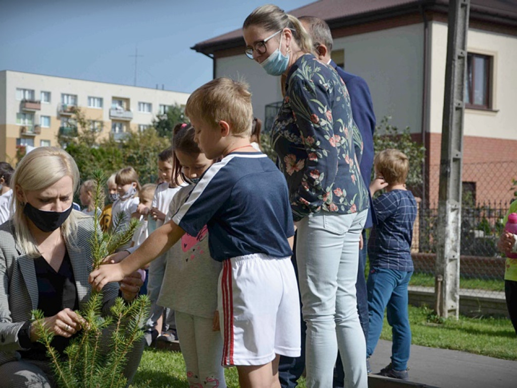 Hrubieszowska Jedynka w akcji #sadziMY - ZDJĘCIA