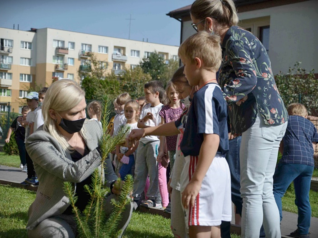 Hrubieszowska Jedynka w akcji #sadziMY - ZDJĘCIA
