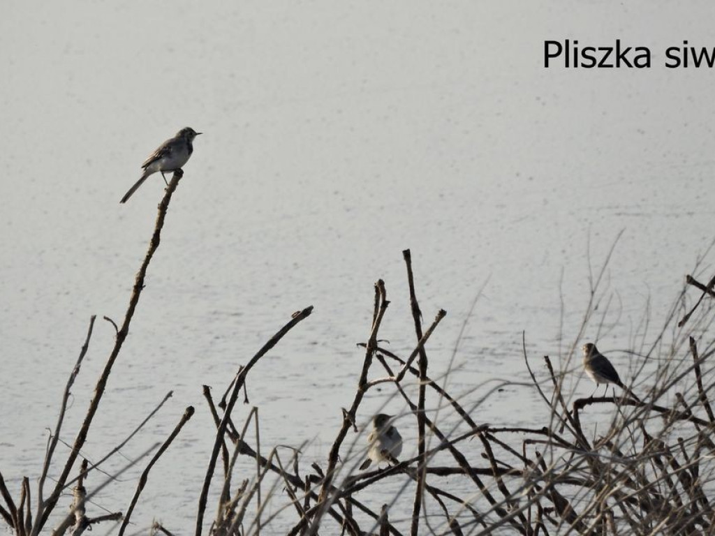 Pierwszy dzień jesieni za Cukrownią Werbkowice - ZDJĘCIA, WIDEO