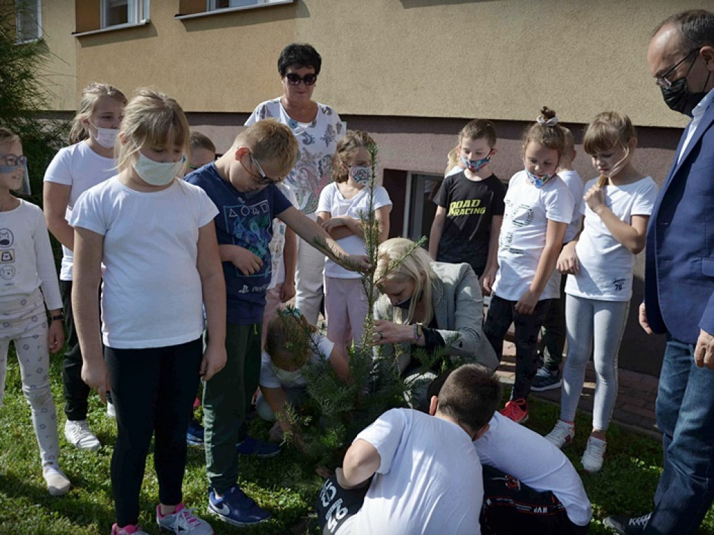 Hrubieszowska Jedynka w akcji #sadziMY - ZDJĘCIA