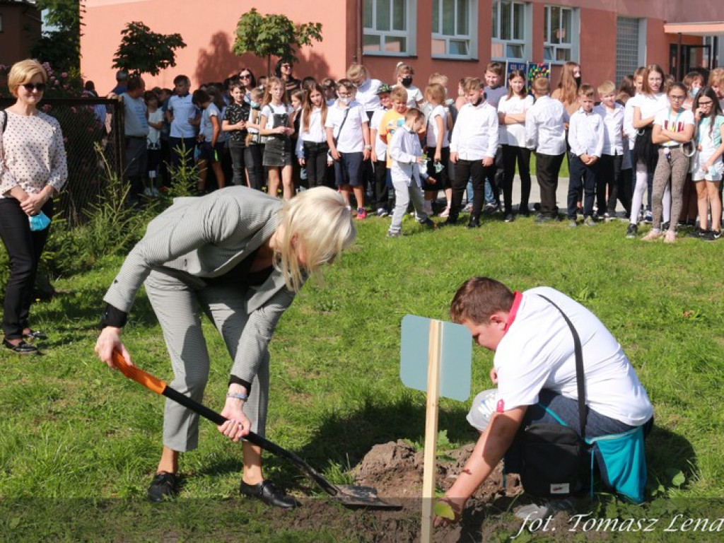 Jubileuszowy Dąb Hrubieszowski 