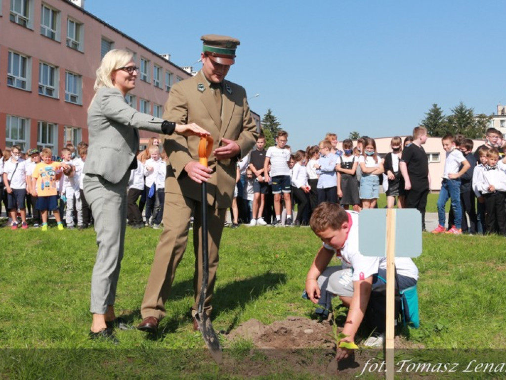 Jubileuszowy Dąb Hrubieszowski 