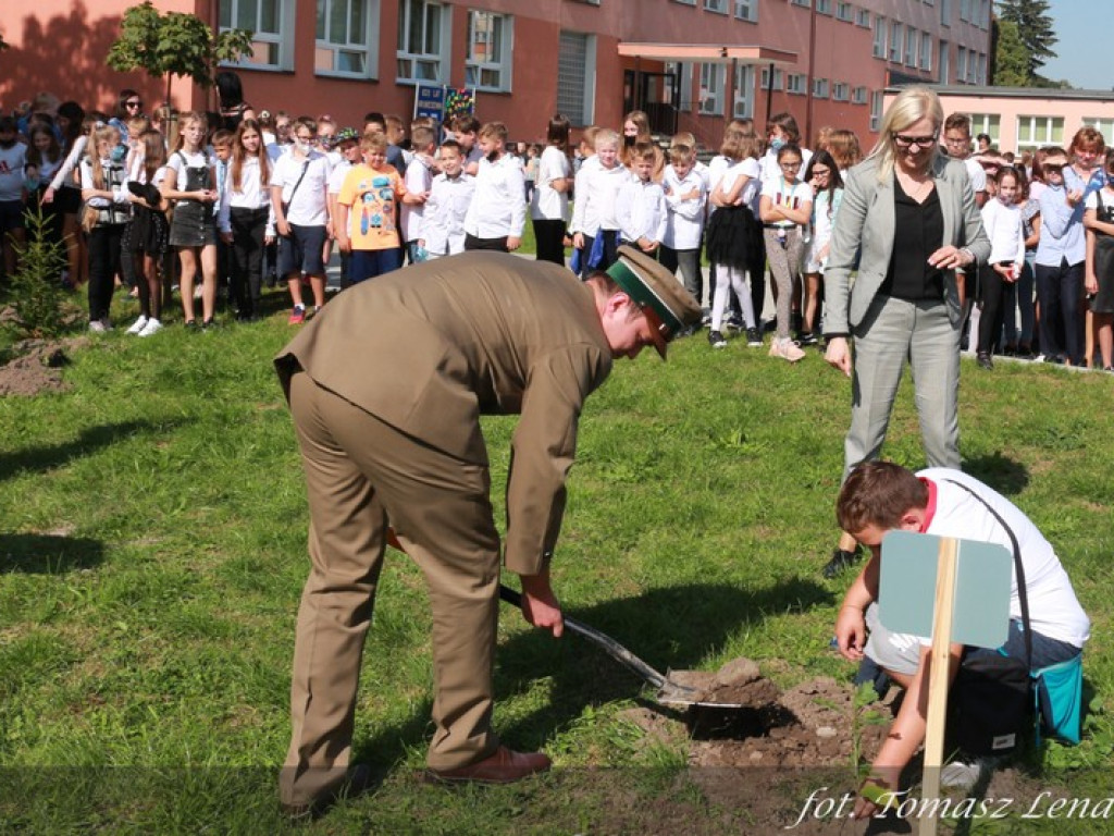 Jubileuszowy Dąb Hrubieszowski 