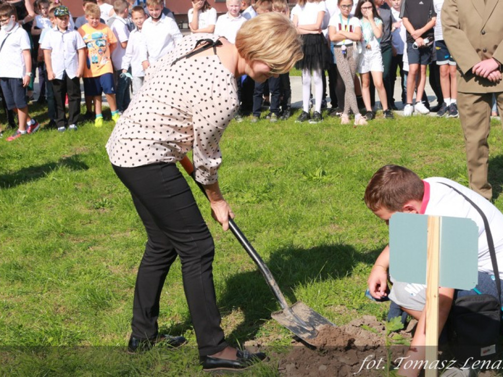 Jubileuszowy Dąb Hrubieszowski 