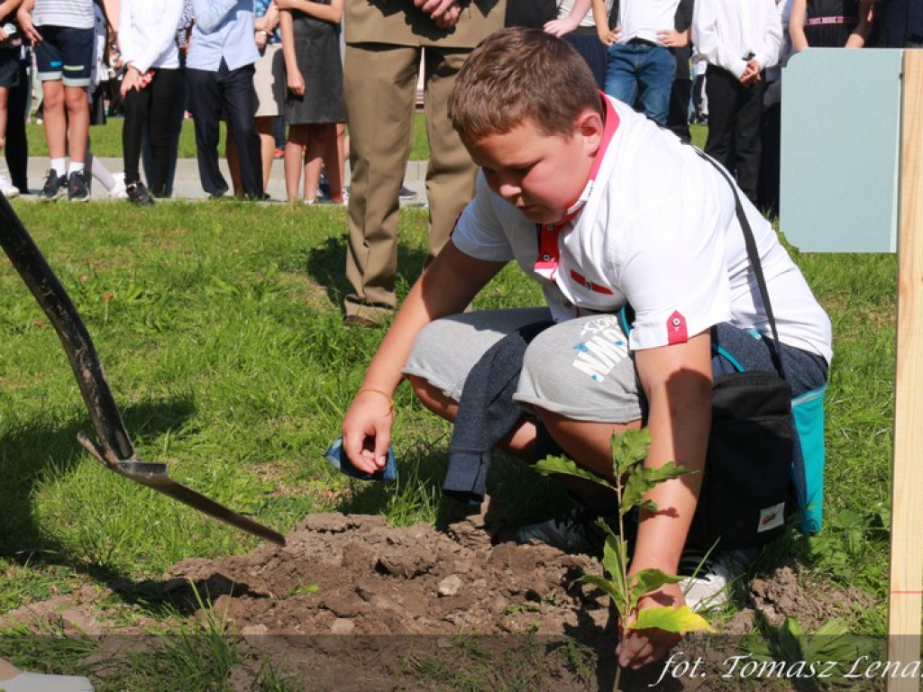 Jubileuszowy Dąb Hrubieszowski 