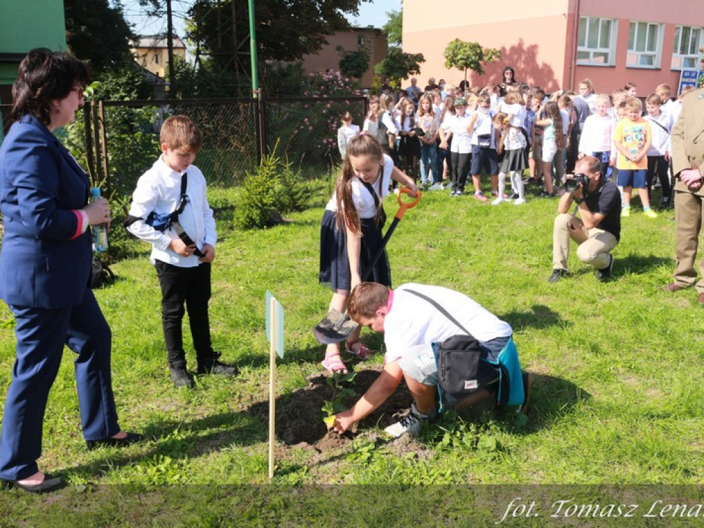 Jubileuszowy Dąb Hrubieszowski 