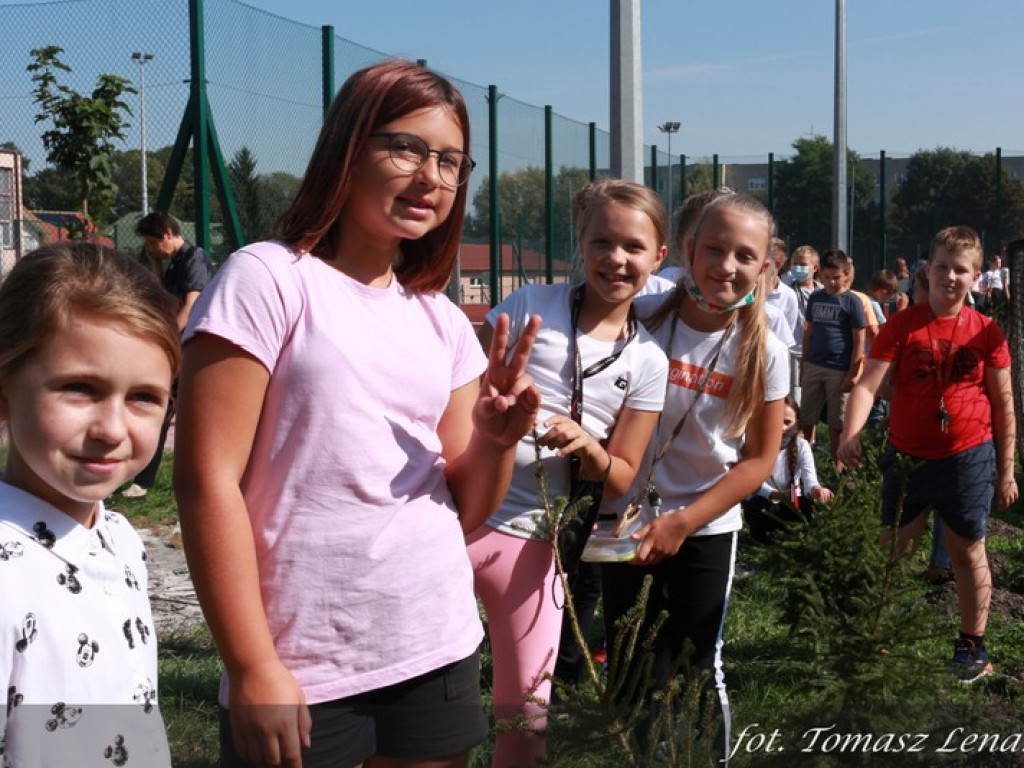 Jubileuszowy Dąb Hrubieszowski 