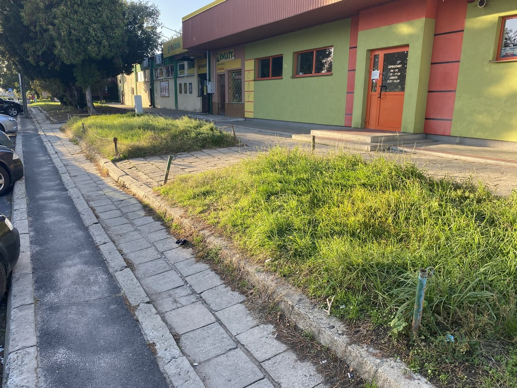 Hrubieszów: Wniosek w sprawie remontu chodnika przy ul. Polnej - ZDJĘCIA