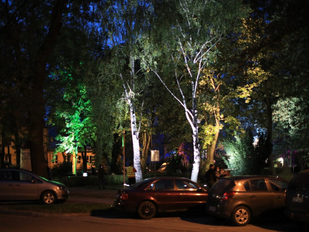 Pokaz iluminacji hrubieszowskiego parku - ZDJĘCIA