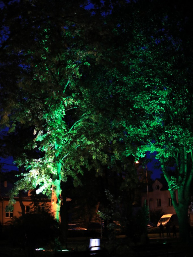 Pokaz iluminacji hrubieszowskiego parku - ZDJĘCIA