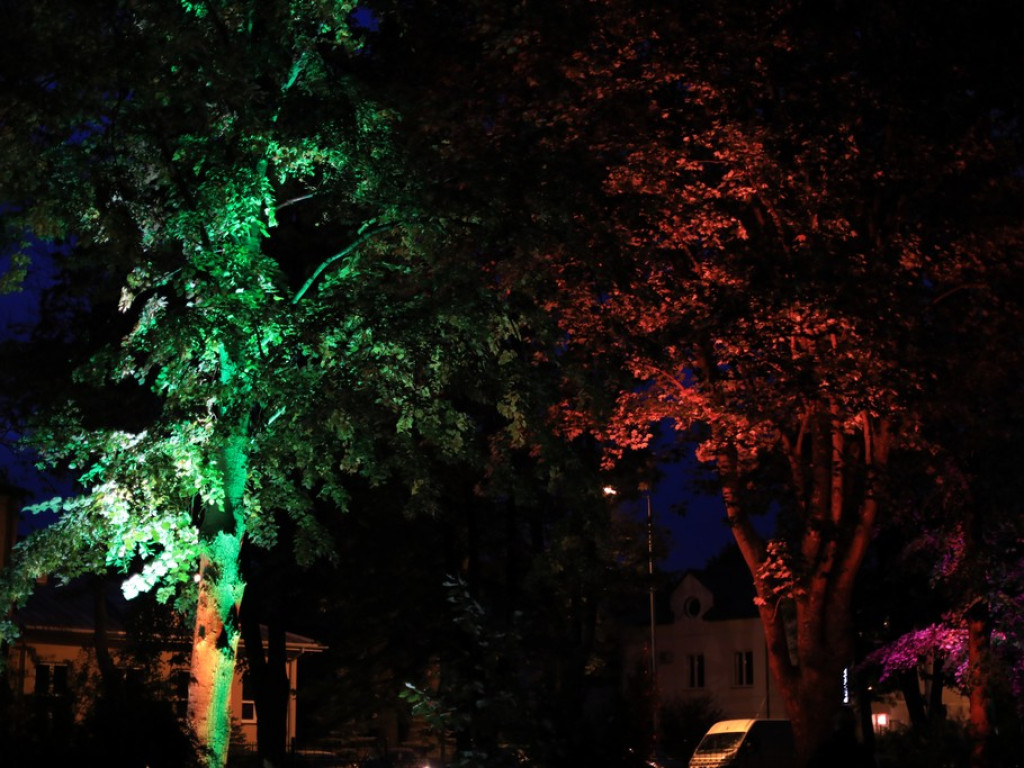 Pokaz iluminacji hrubieszowskiego parku - ZDJĘCIA