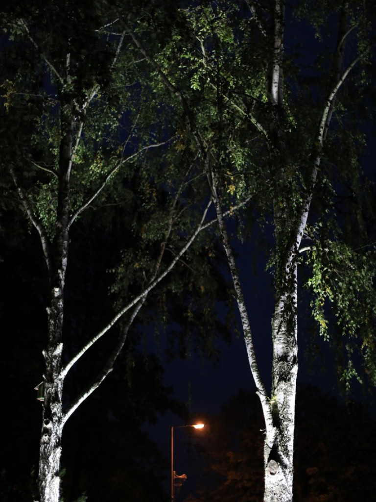 Pokaz iluminacji hrubieszowskiego parku - ZDJĘCIA