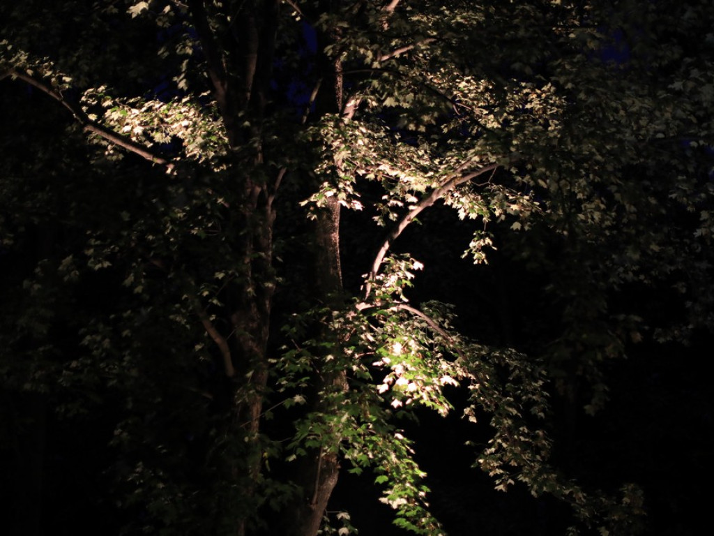 Pokaz iluminacji hrubieszowskiego parku - ZDJĘCIA