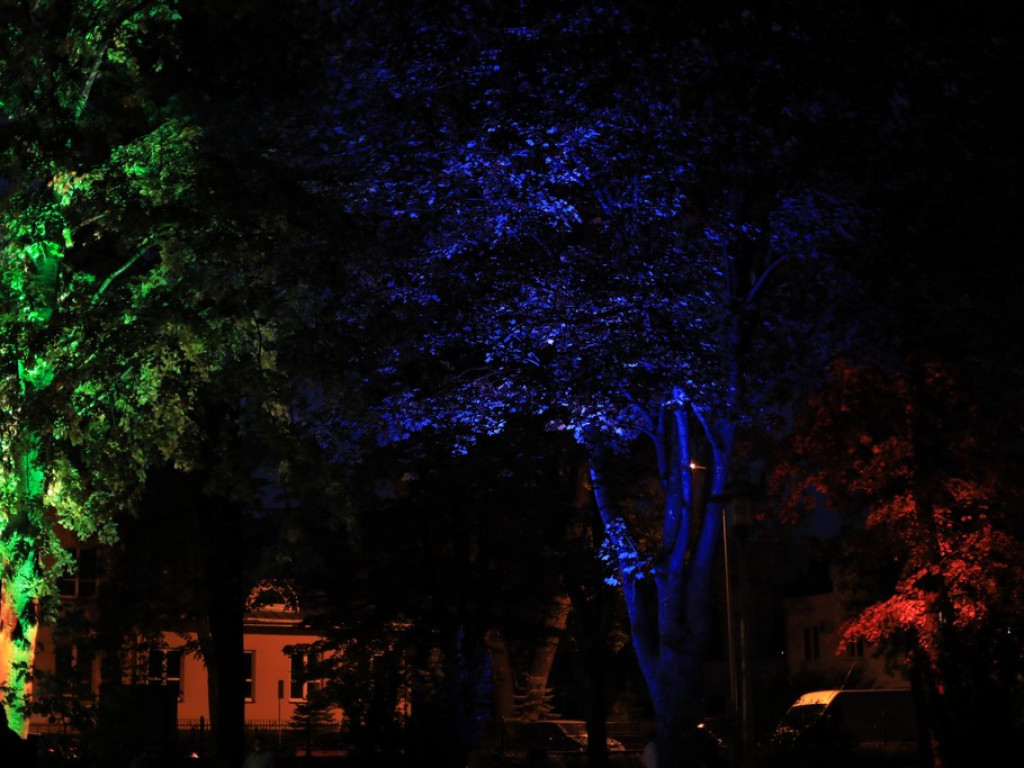 Pokaz iluminacji hrubieszowskiego parku - ZDJĘCIA