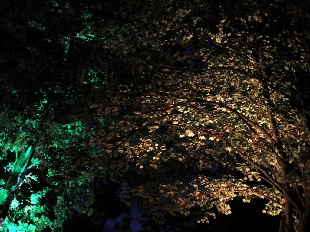 Pokaz iluminacji hrubieszowskiego parku - ZDJĘCIA
