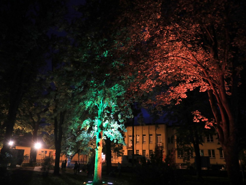 Pokaz iluminacji hrubieszowskiego parku - ZDJĘCIA