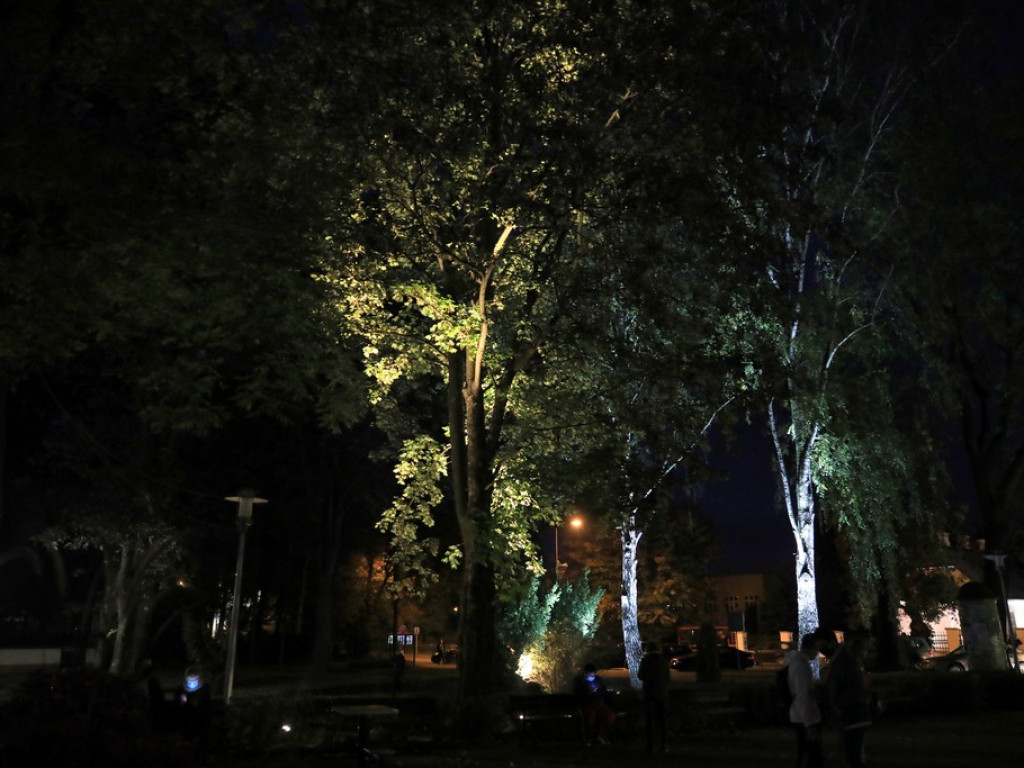 Pokaz iluminacji hrubieszowskiego parku - ZDJĘCIA