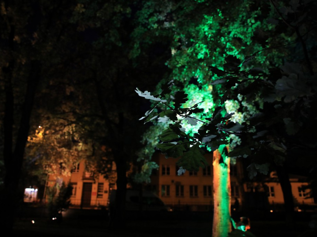 Pokaz iluminacji hrubieszowskiego parku - ZDJĘCIA