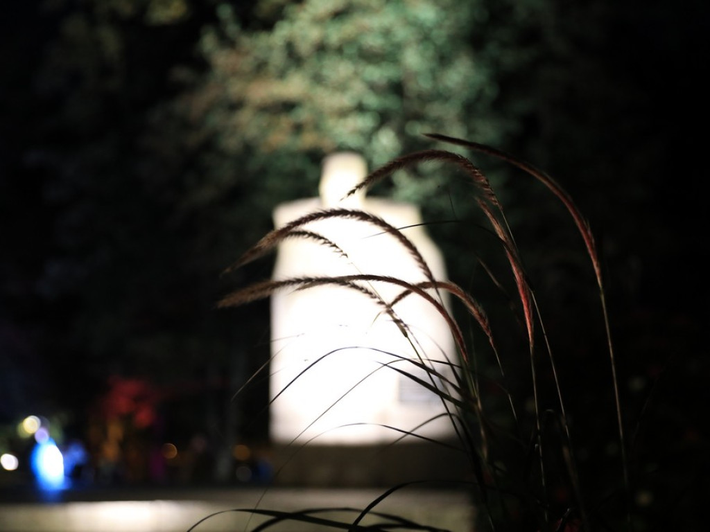 Pokaz iluminacji hrubieszowskiego parku - ZDJĘCIA