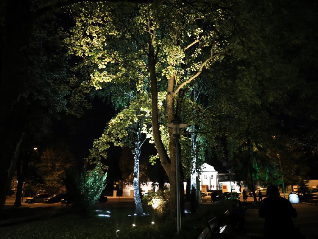 Pokaz iluminacji hrubieszowskiego parku - ZDJĘCIA