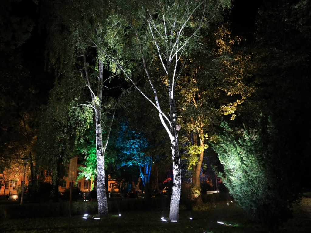 Pokaz iluminacji hrubieszowskiego parku - ZDJĘCIA