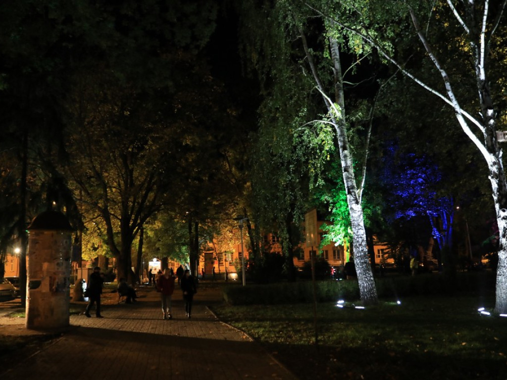 Pokaz iluminacji hrubieszowskiego parku - ZDJĘCIA