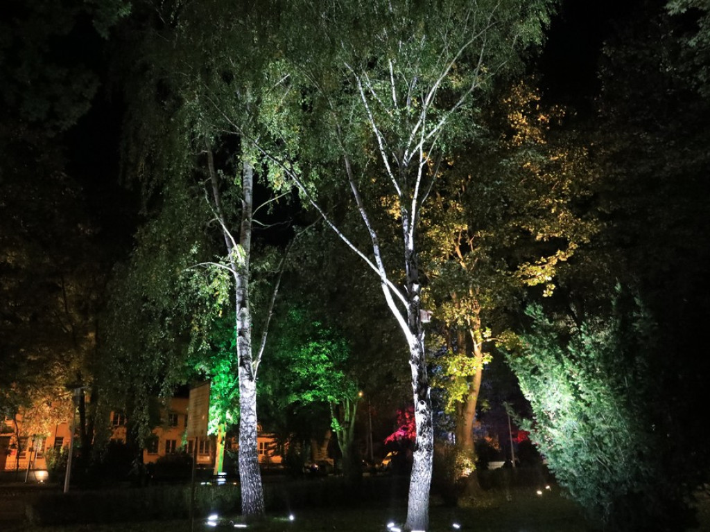 Pokaz iluminacji hrubieszowskiego parku - ZDJĘCIA