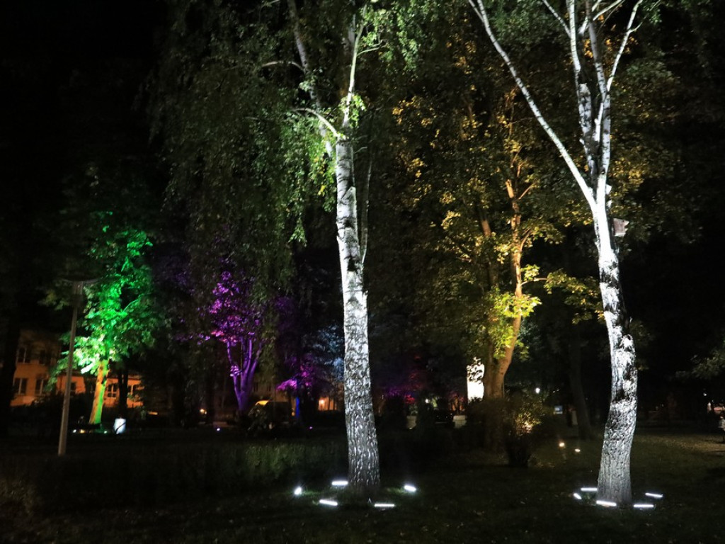 Pokaz iluminacji hrubieszowskiego parku - ZDJĘCIA
