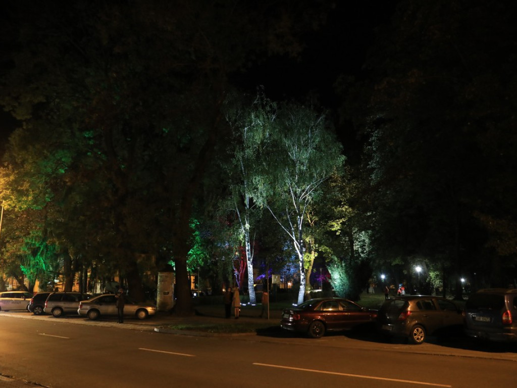 Pokaz iluminacji hrubieszowskiego parku - ZDJĘCIA