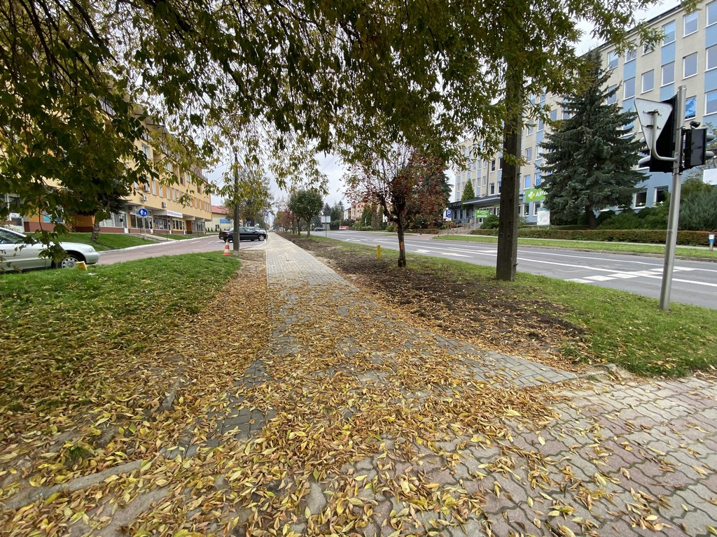 Hrubieszów: Trwa remont chodnika na ul. Mickiewicza - ZDJĘCIA