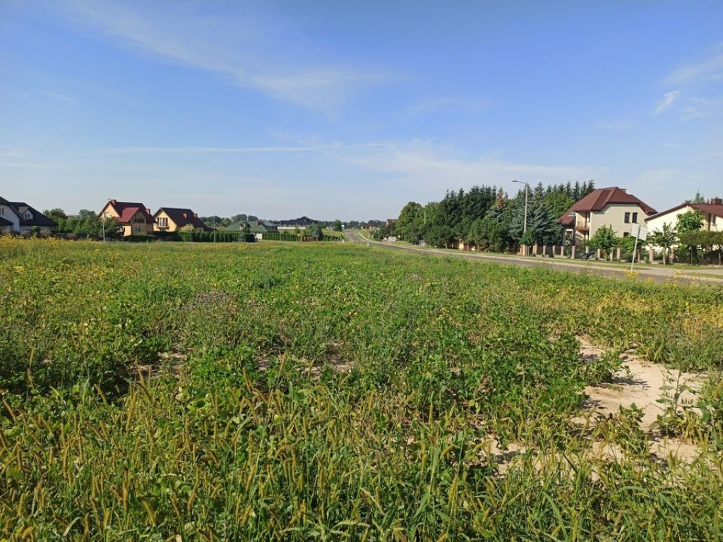 Hrubieszów: Miejskie nieruchomości na sprzedaż. Nowe, niższe ceny - ZDJĘCIA
