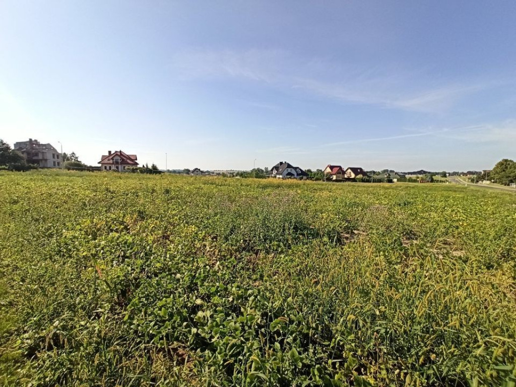 Hrubieszów: Miejskie nieruchomości na sprzedaż. Nowe, niższe ceny - ZDJĘCIA