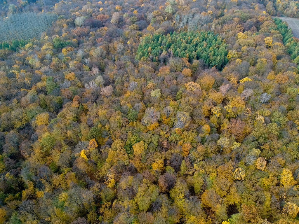 Polska Złota Jesień w gminie Trzeszczany - ZDJĘCIA