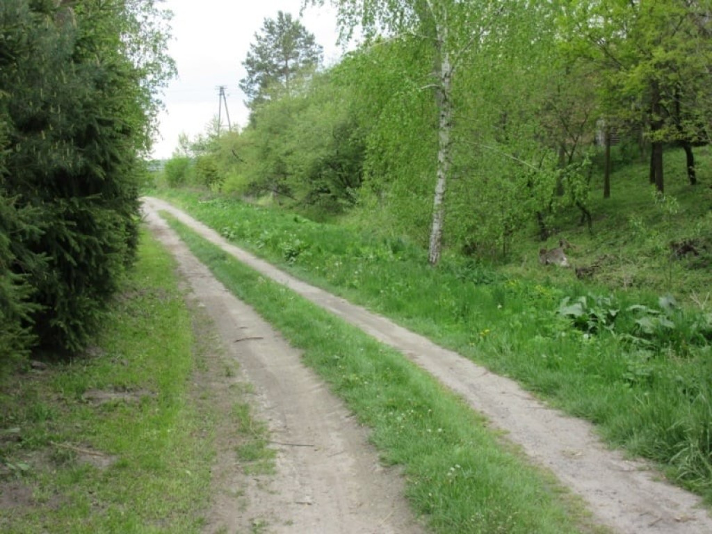 Remonty dróg w gminie Mircze - ZDJĘCIA