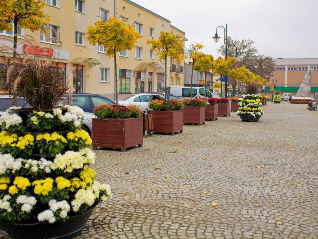 Hrubieszów: Kwiaty ozdobiły miasto