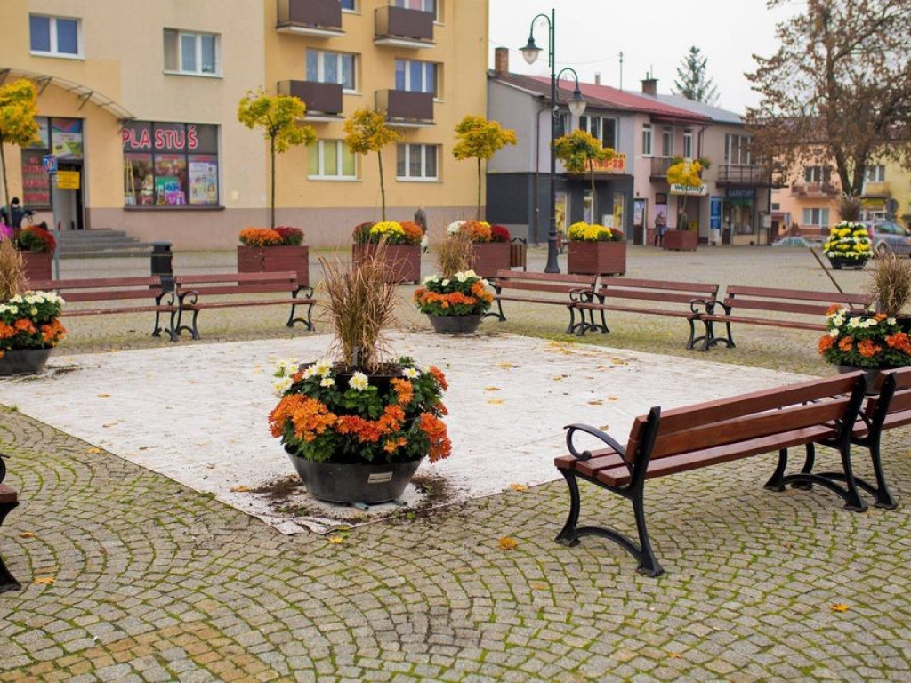 Hrubieszów: Kwiaty ozdobiły miasto