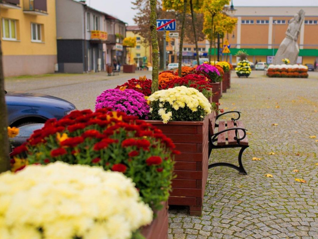 Hrubieszów: Kwiaty ozdobiły miasto