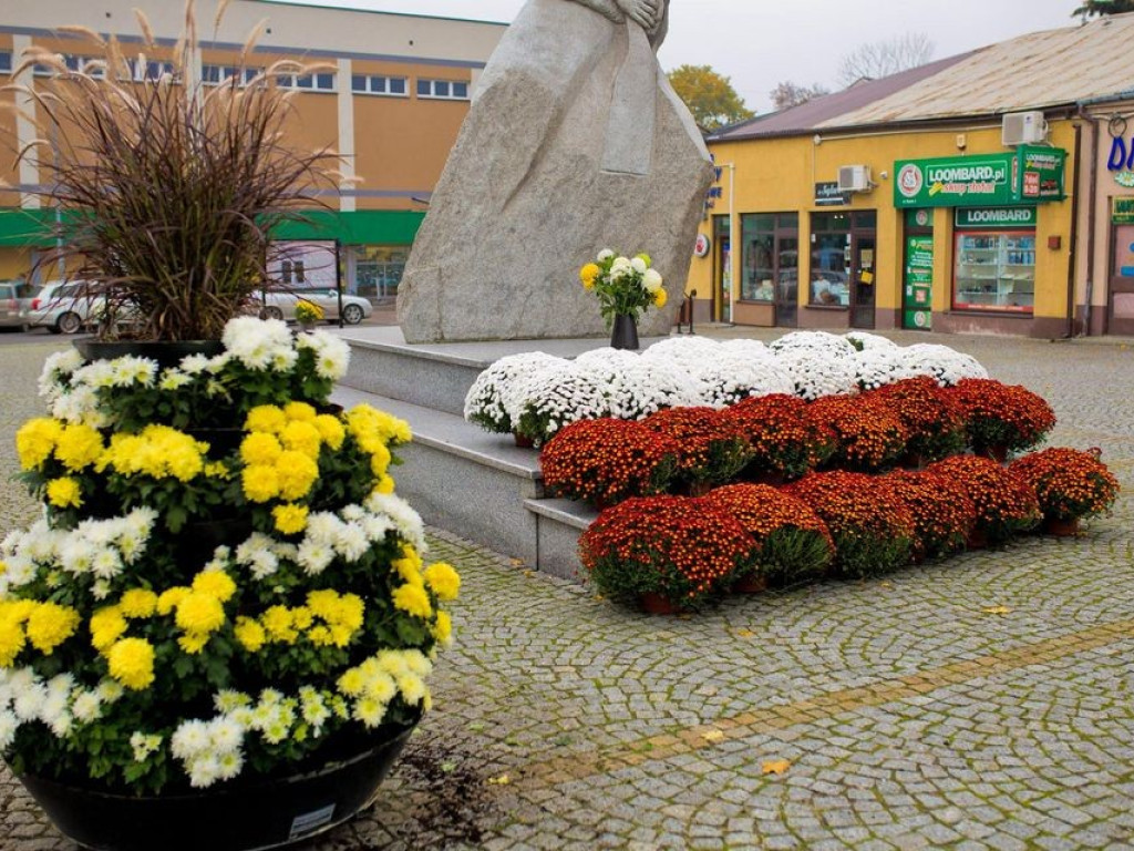 Hrubieszów: Kwiaty ozdobiły miasto