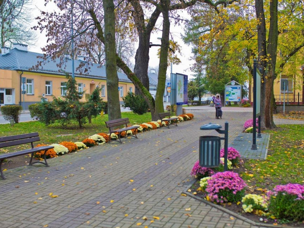 Hrubieszów: Kwiaty ozdobiły miasto