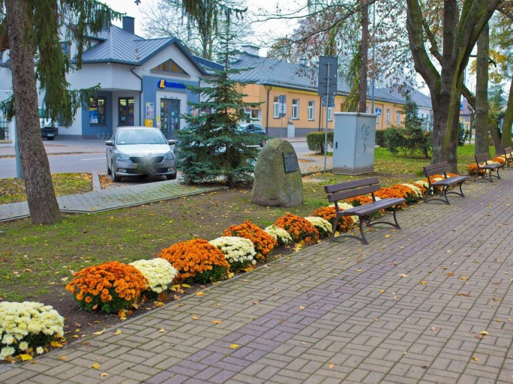 Hrubieszów: Kwiaty ozdobiły miasto