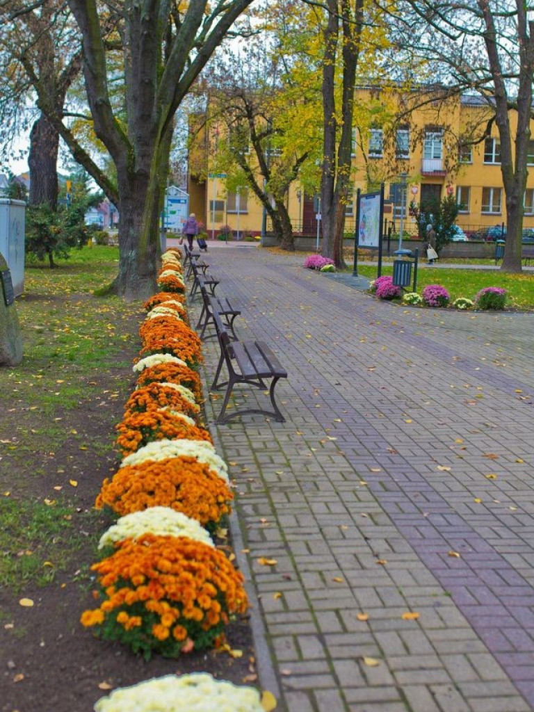 Hrubieszów: Kwiaty ozdobiły miasto