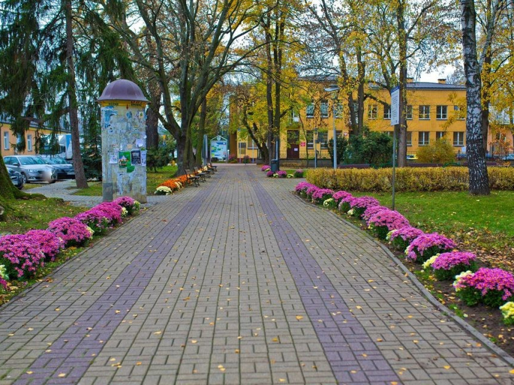 Hrubieszów: Kwiaty ozdobiły miasto