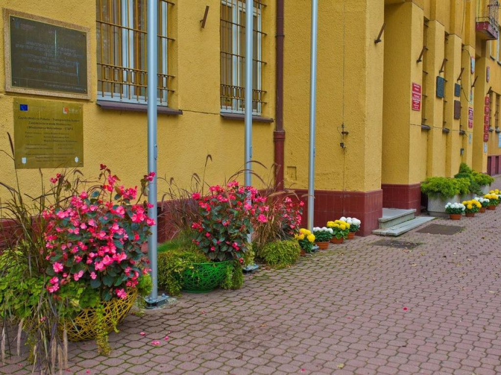 Hrubieszów: Kwiaty ozdobiły miasto