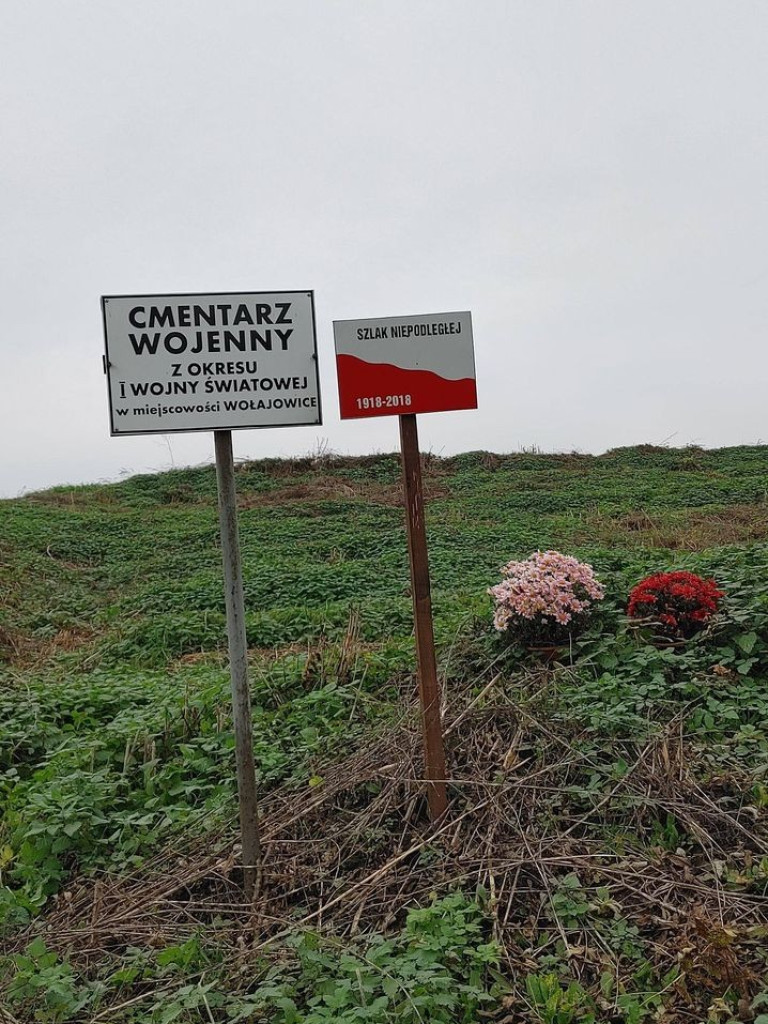 Obchody Święta Niepodległości w gminie Hrubieszów