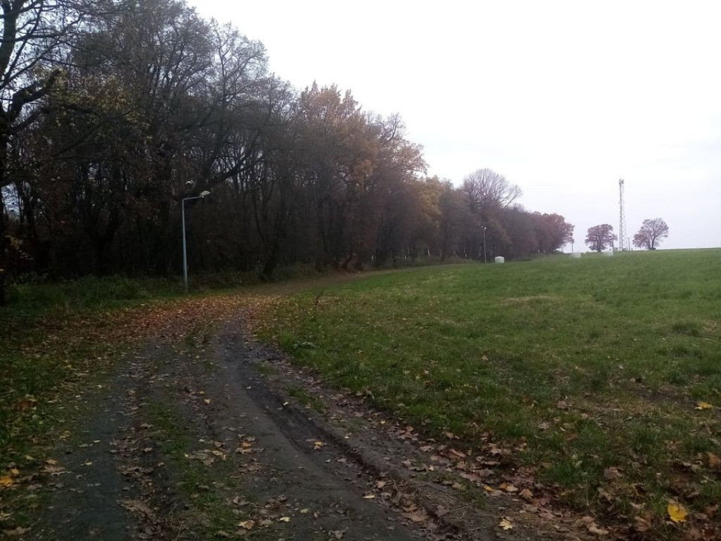 Listopadowy park i pałac w Werbkowicach - ZDJĘCIA, WIDEO